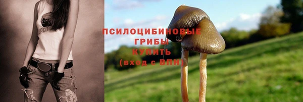 каннабис Абаза