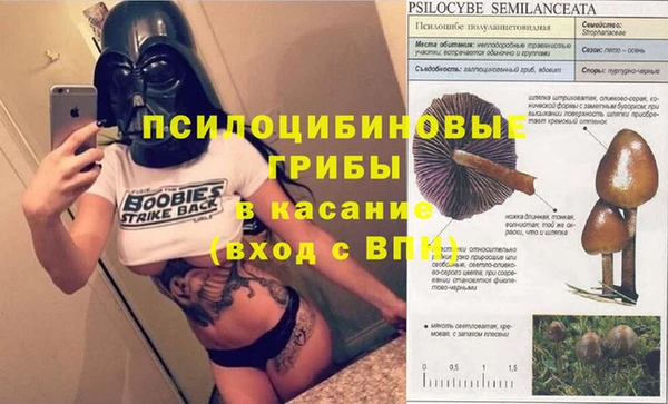 каннабис Абаза
